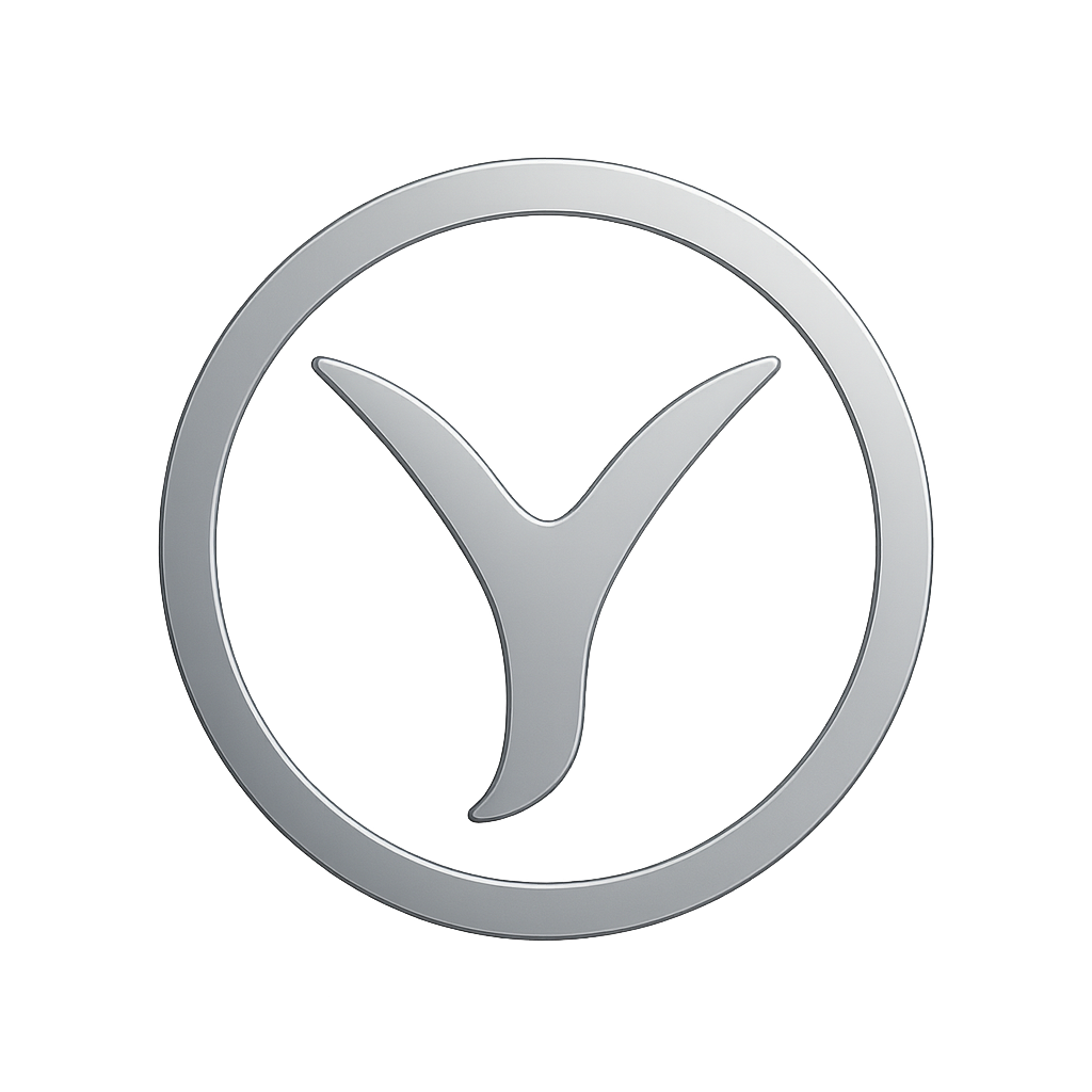 YYY digital payment visual